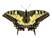 cid:image001.jpg@01CDD12E.B7C3B690
