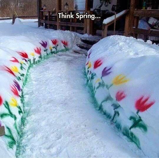 Image may contain: snow